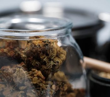 brown dried leaves in clear glass jar